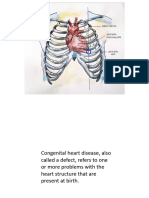 Heart and Abdomen