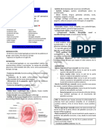 RESUMO DE OTORRINOLARINGOLOGÍA - Isabella Caparroz