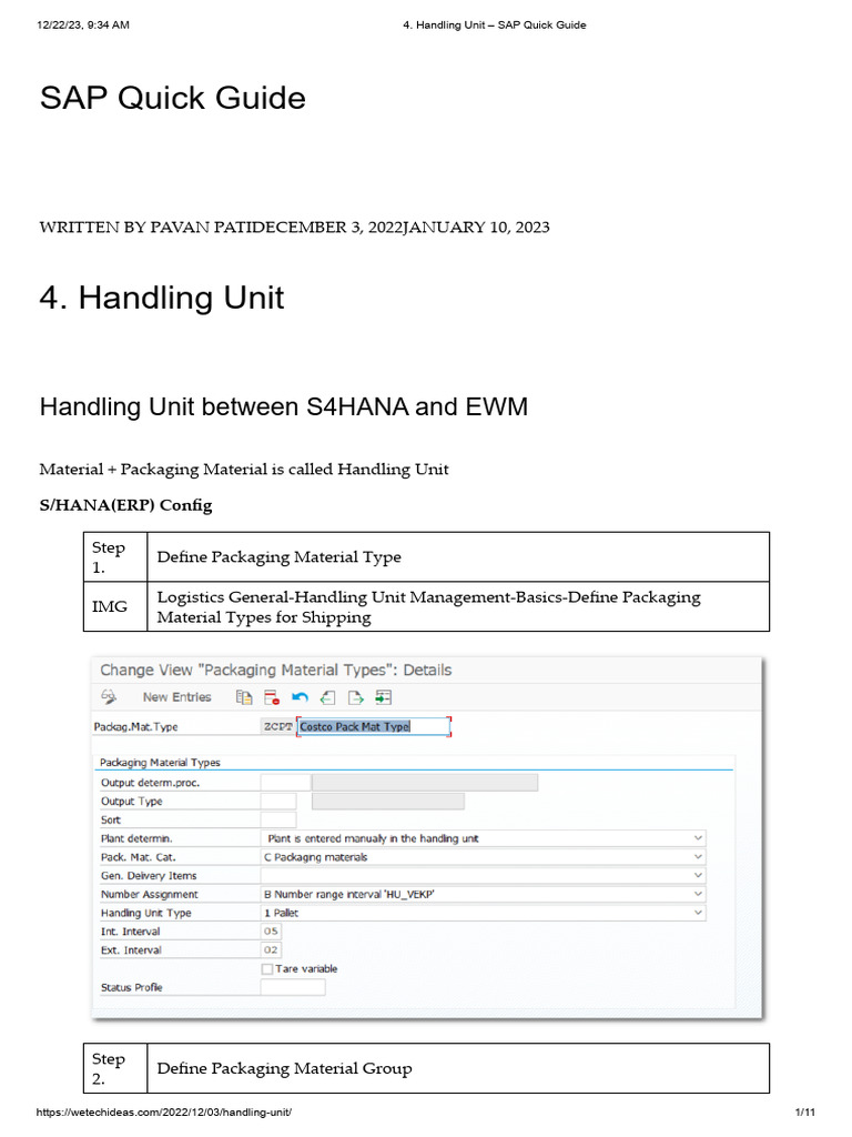 Handling Unit SAP Quick Guide PDF Packaging And Labeling Warehouse