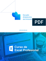 Brochure Excel Profesional