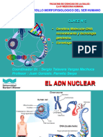 5a Clase Genética Genética Molecular-Gametogenesis DMSH-convertido [Autoguardado]