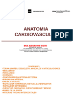 Anatomia Cardiovascular 1c 2024 PDF