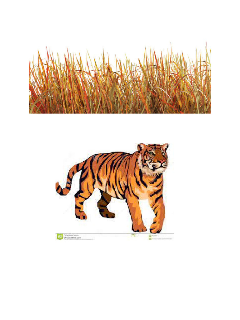 Animals Camouflage | PDF