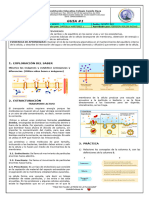 Gap P2 G1 001 Biologia 2024