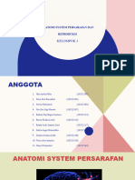 Anatomi System Persarafan Dan Reproduksi