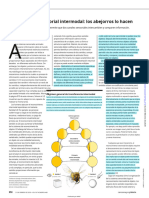 1) Transferencia Sensorial - Traducido