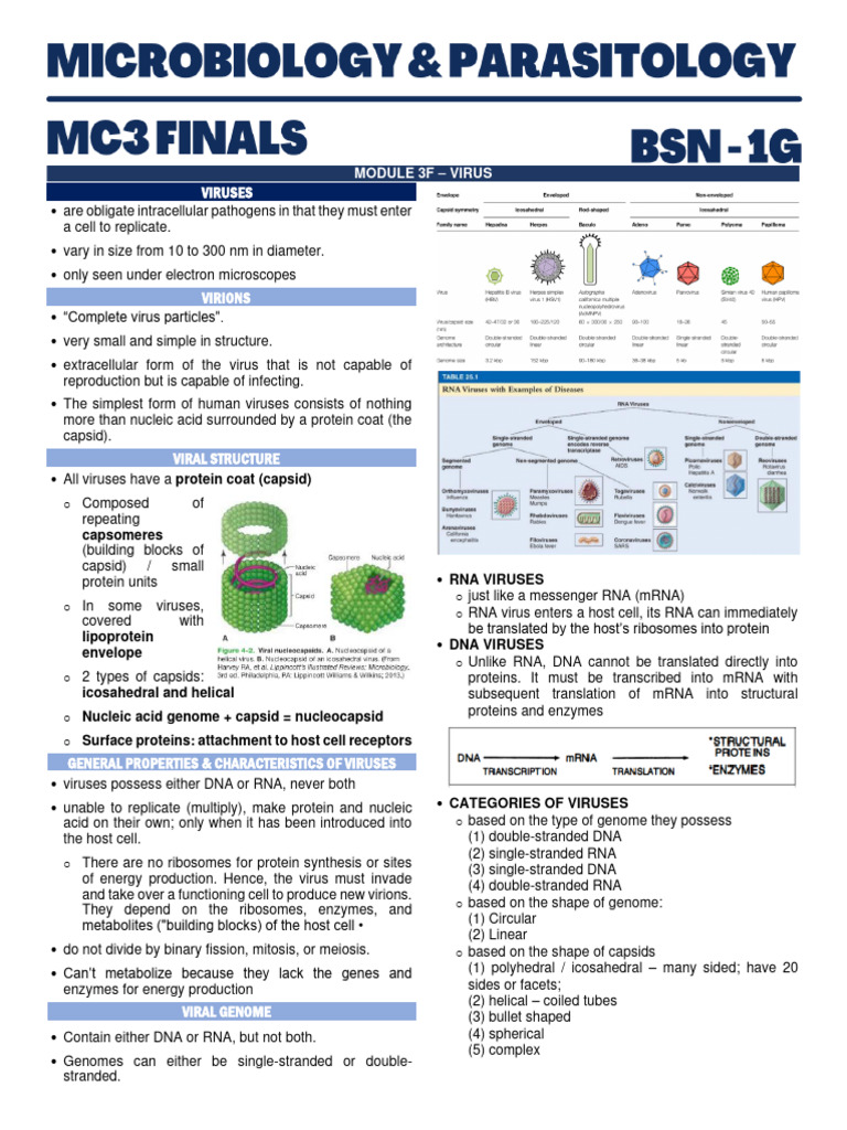 Onestart Pdf Virus