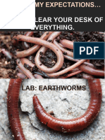 LAB Earthworms