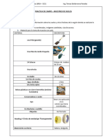 Materiales Monitoreo-Suelos