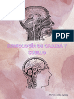 Semiología de Cabeza y Cuello - 20240328 - 155853 - 0000
