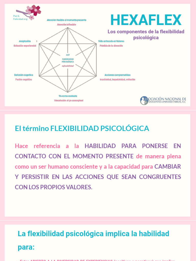 Modelo Hexaflex de ACT en Español | PDF | Pensamiento | Sicología