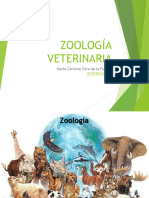 Zoología y Subdiciplinas