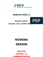 9na. Sesion D. Administracion Publica I