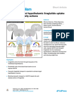 Imbernon Tanycytes Control Hyphotalamic Liranglutide Utake and Its Anti Obesity Actions