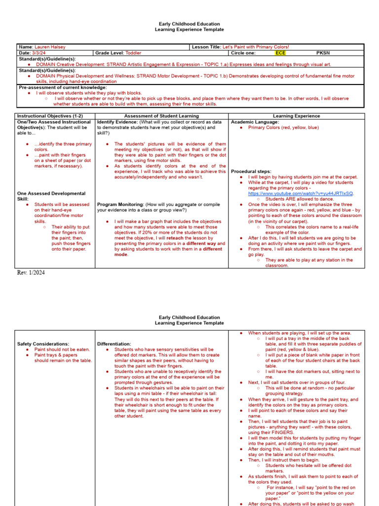 317 visual arts lesson plan | PDF | Early Childhood Education | Learning