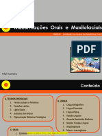 2 - Malformações Orais e Maxilofaciais 2