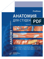 Учебник Анатомии Для Студентов - compressed