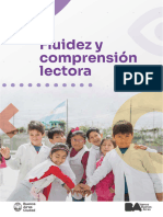 Fluidez Docentes