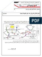 طبيعية أولى ثانوي