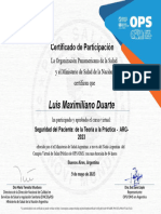 Seguridad Del Paciente de La Teoria A La Practica ARG 2023 Certificado Del Curso 236108