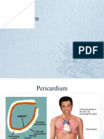 Pericardium