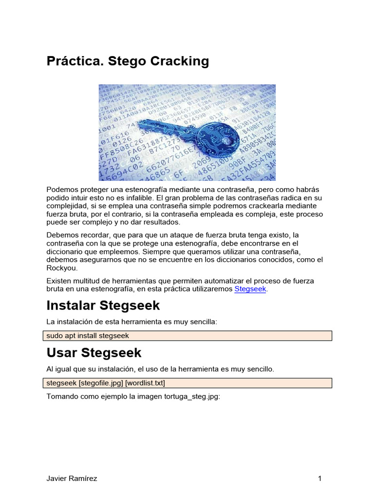 Cracking Esteganografía con Stegseek | PDF