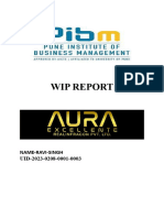Wip Aura Report