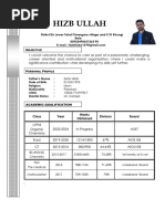 Hizbullah CV