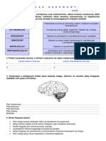 Układ Nerowowy-: Częśćwspółczólna C Z Ęść PRZ Yw Spół CZ Uln A