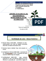 Absorção de Nutrientes Pelas Raízes