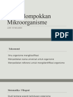 Classifying of Microorganisms - En.id
