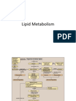 Lipid Meta