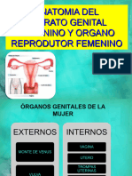 Aparato Reproductor Femenino-Obst. 2023