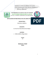 Informe Situacion N. de Adultos Peruanos Final PDF