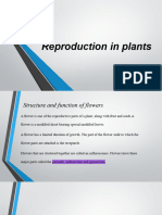 Reproduction in planTSS