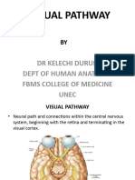 VISUAL PATHWAY Lecture AMENDED