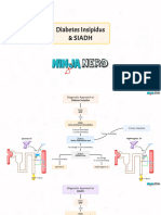 9 - Diabetes Insipidus & SIADH (Slides)