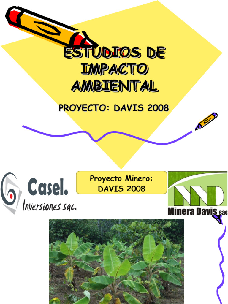 Estudio de Impacto Ambiental Proyecto Davis 2008 | PDF | Entorno ...
