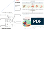 FICHA  CIENCIA 17 ABRIL (1)