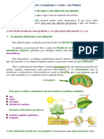 Resumo - Trocas - Nutricionais - Entre - o - Organismo - e - o - Meio - Nas Plantas