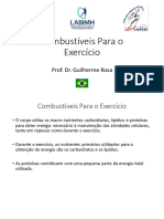 2 - Combustíveis para o Exercício