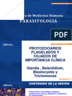 Parasitología Sem-03 Sesión-03 2024-1