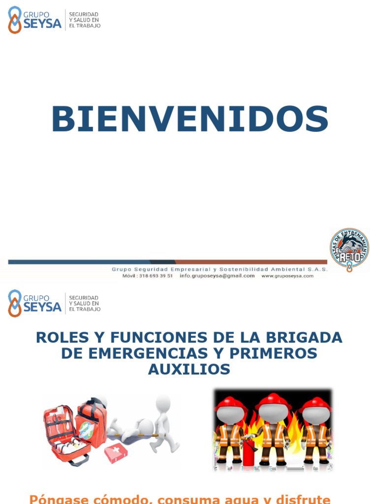 Roles y Funciones de La Brigada de Emergencias 2022 v2 | PDF