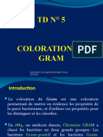 TD 05 Coloration de Gram