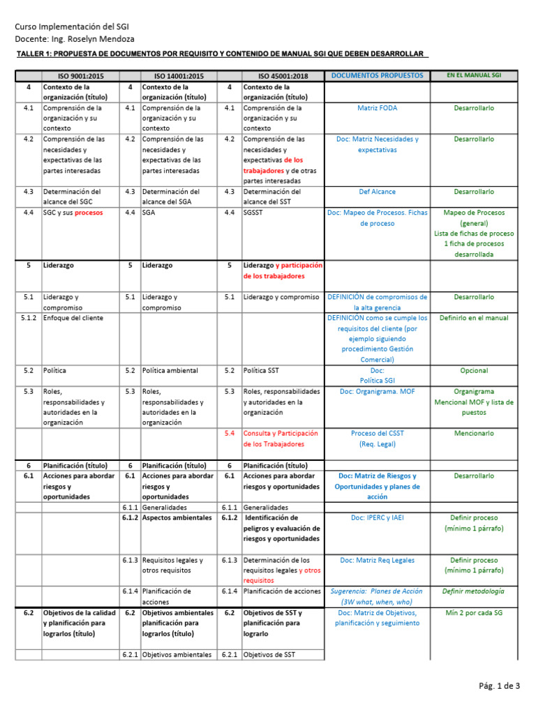 Esquema Del Manual Sgi Pdf Planificación Auditoría