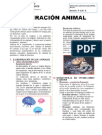 Respiración Animal 3° (2)