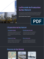 Le Procede de Production Du Gaz Naturel