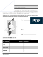 Workbook 02 Anatomie Sample1