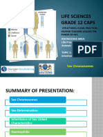 PP9. Sex Chromosomes