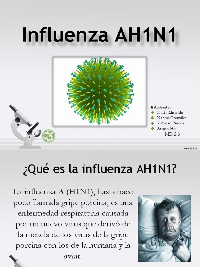 Influenza AH1N1 PowerPointDiapositivas | PDF | Virus de la Influenza A ...